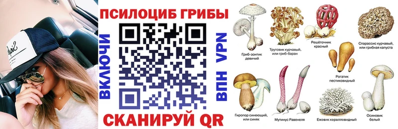 Псилоцибиновые грибы Psilocybe где купить наркоту Алдан